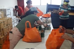 P.-12-ORGANIZADOS