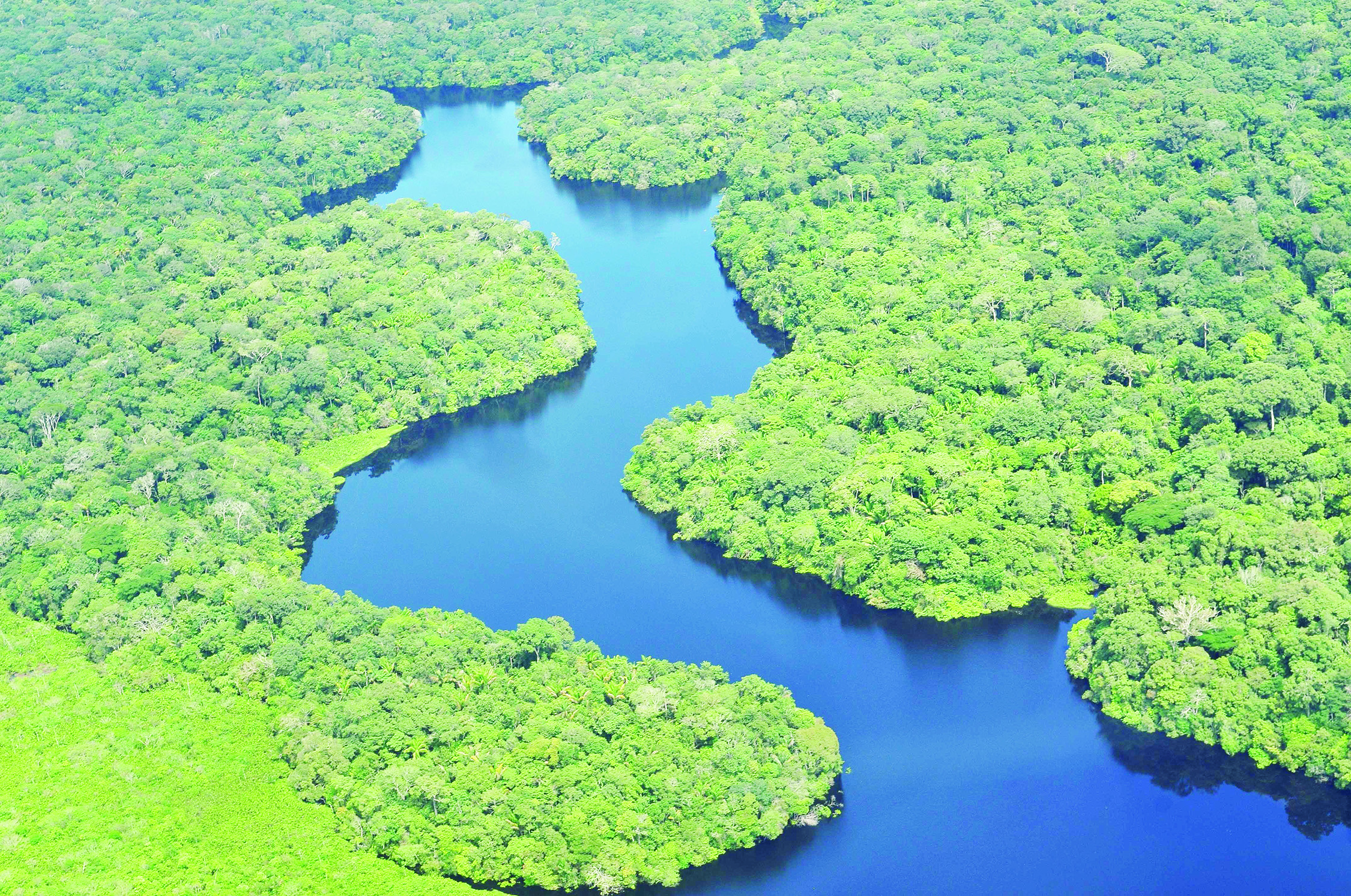 Amazonia: en cuidados intensivos