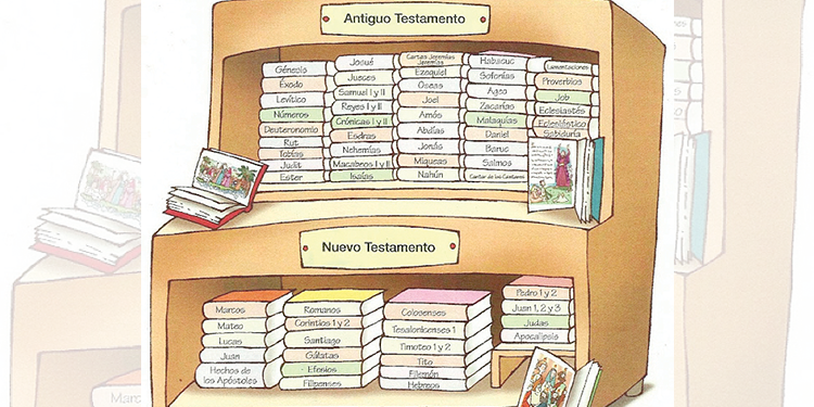 ¿Cómo está organizada la Biblia?