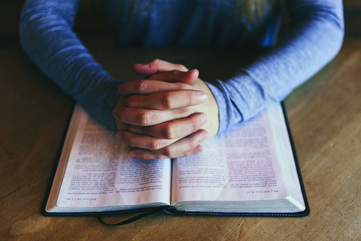 Una ventana entre la vida y la Biblia; Claves para una lectura provechosa