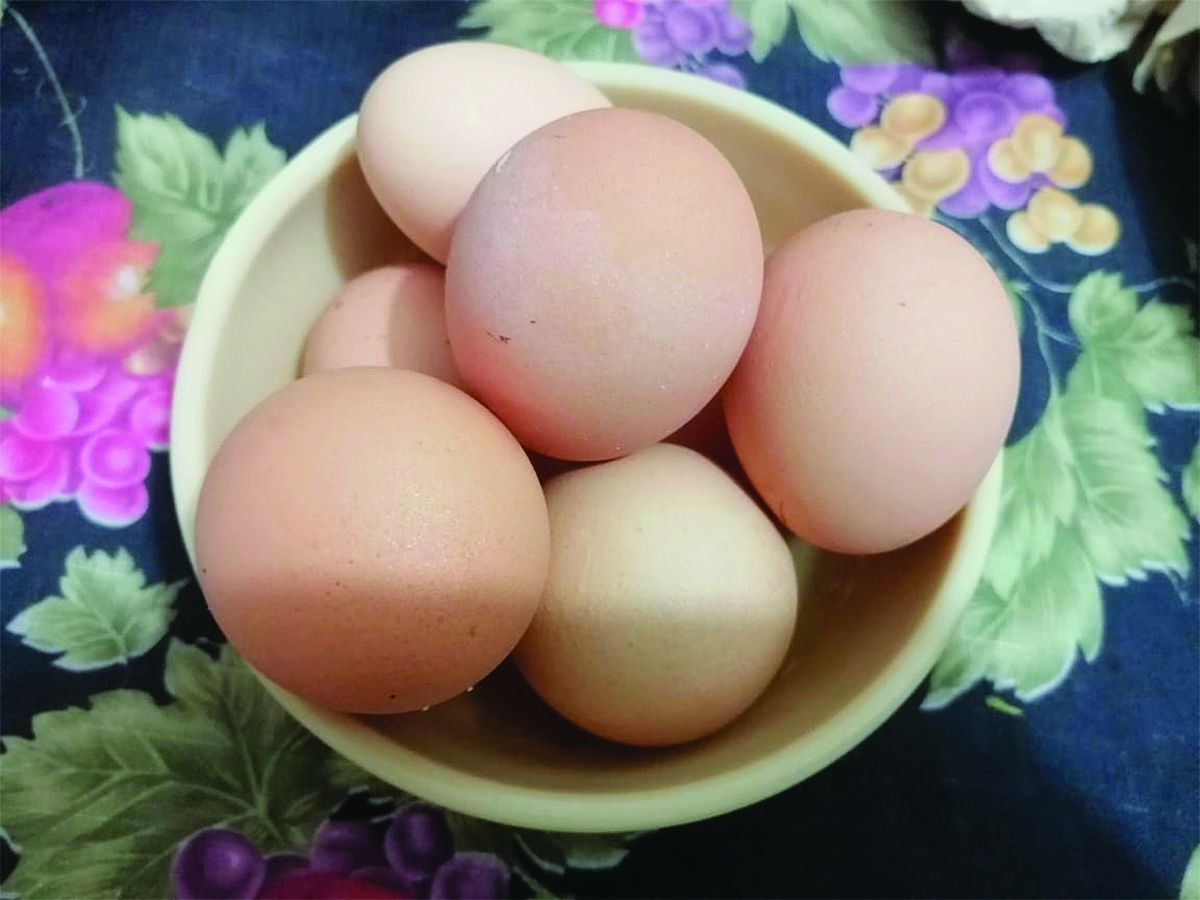 Huevo: alimento saludable y accesible