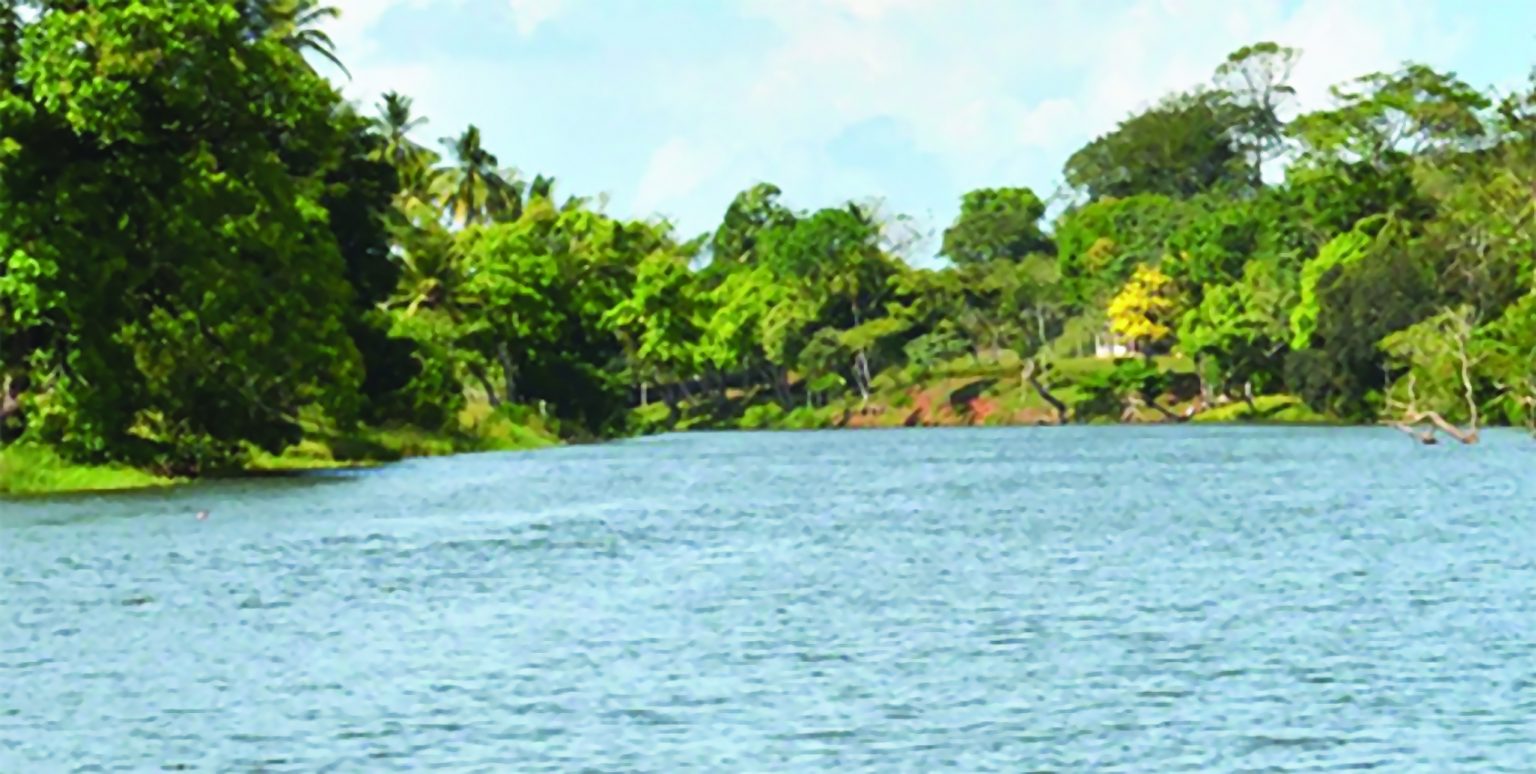 Río Indio ¿qué criterio predominará? Panorama Católico