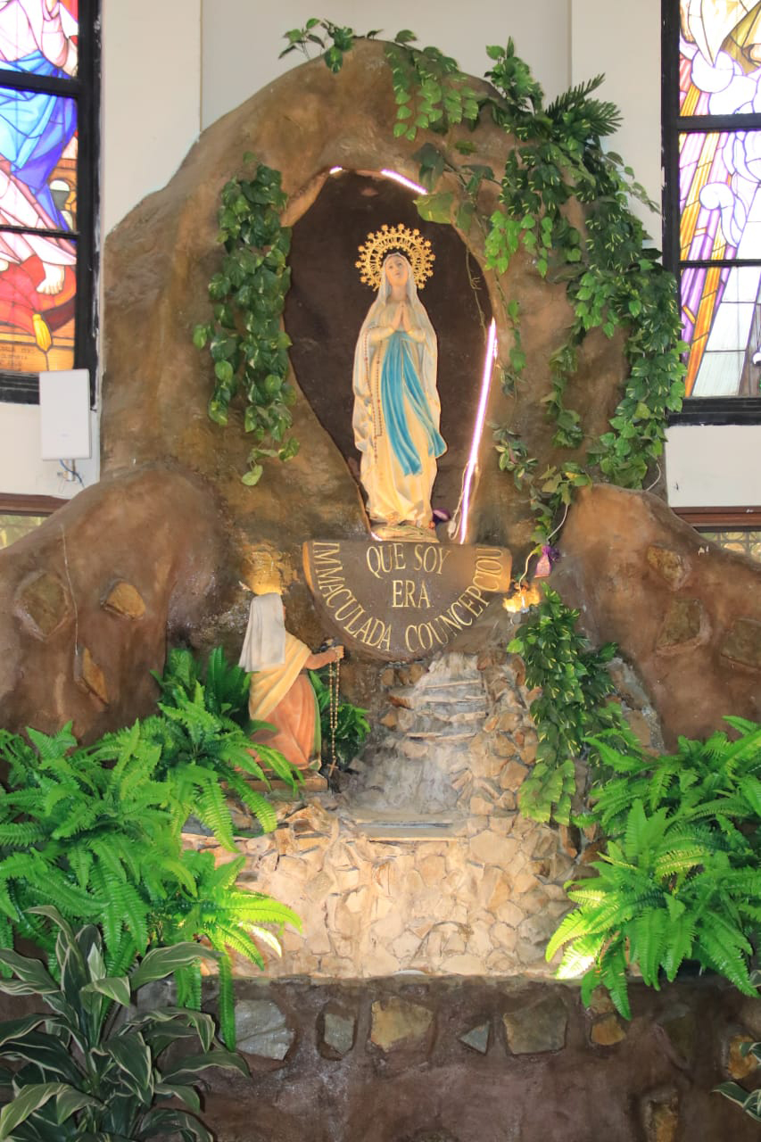 Nuestra Señora de Lourdes: un mensaje de esperanza en tiempos de pandemia -  Panorama Católico