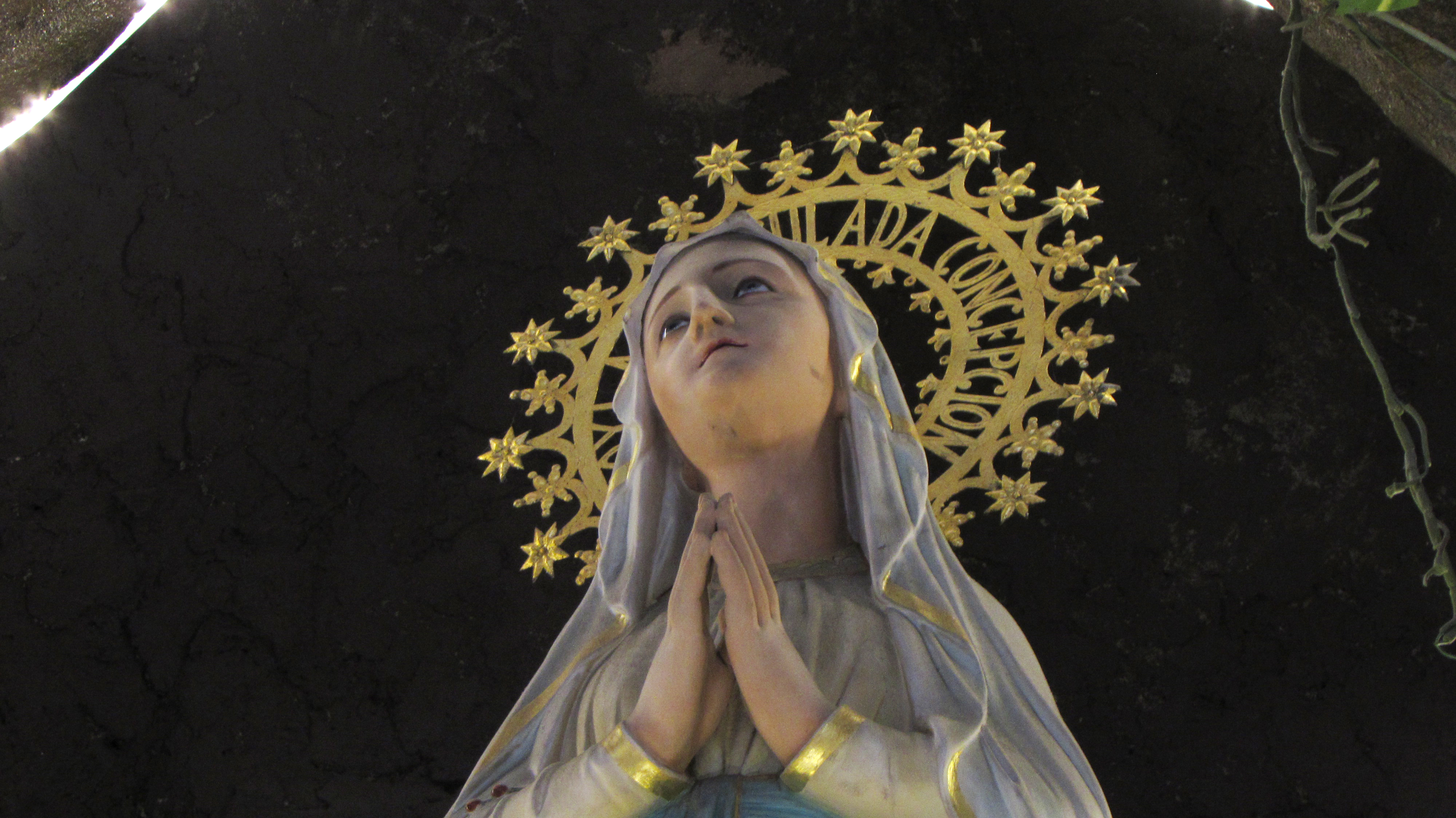 Nuestra Señora de Lourdes: un mensaje de esperanza en tiempos de pandemia