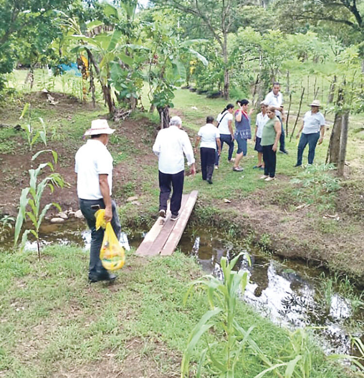 Caminando por el mundo, y unidos en la esperanza, dan a los demás con amor