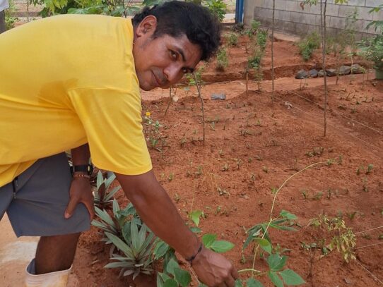 Cultivar el cambio: vida y esperanza en La Nueva Joya