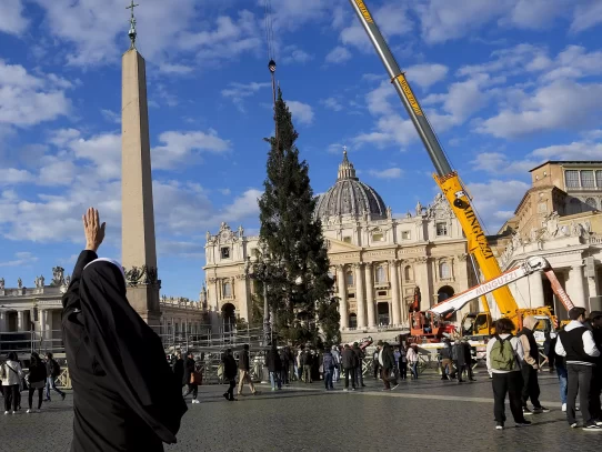 Un abeto de Bolzano y un pesebre de Salerno adornarán la Plaza de San Pedro en Navidad