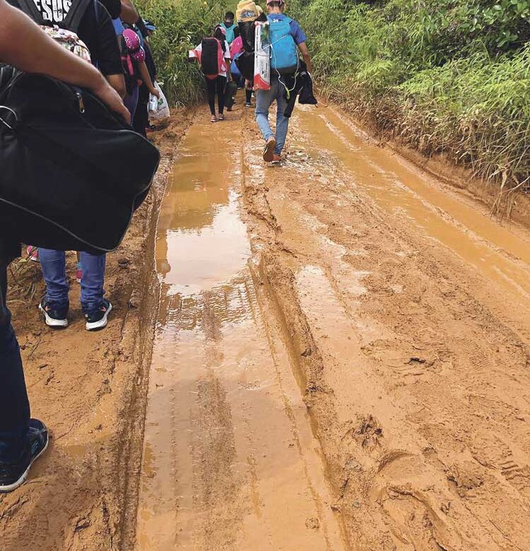 La misión de la Iglesia es anunciar el Reino de Dios