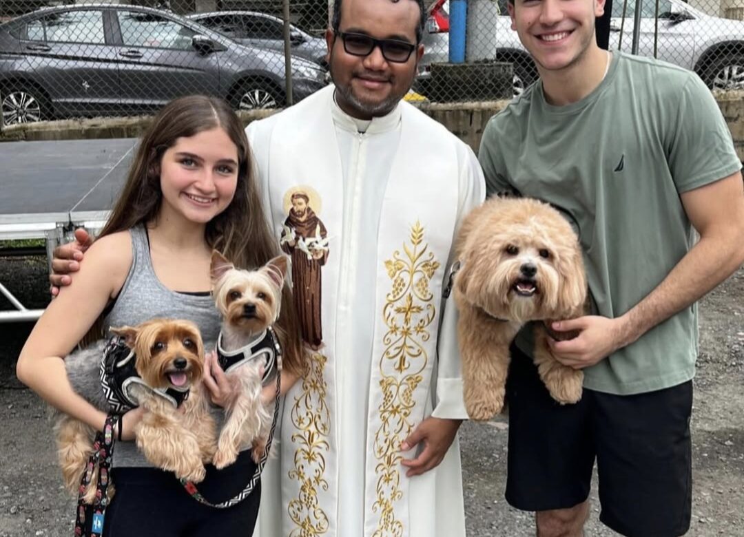 Parroquias de Panamá celebran a San Francisco de Asís con la tradicional bendición de las mascotas