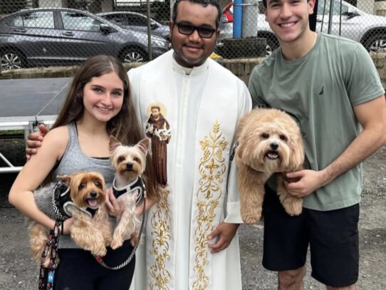 Parroquias de Panamá celebran a San Francisco de Asís con la tradicional bendición de las mascotas