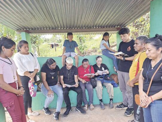 Jóvenes de la Arquidiócesis siembran esperanza en las montañas de Capira