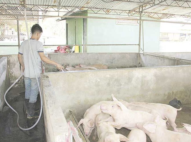 Misión educativa que ayuda a transformar vidas en Veraguas