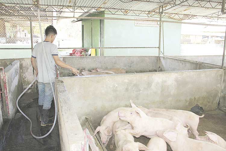 Misión educativa que ayuda a transformar vidas en Veraguas