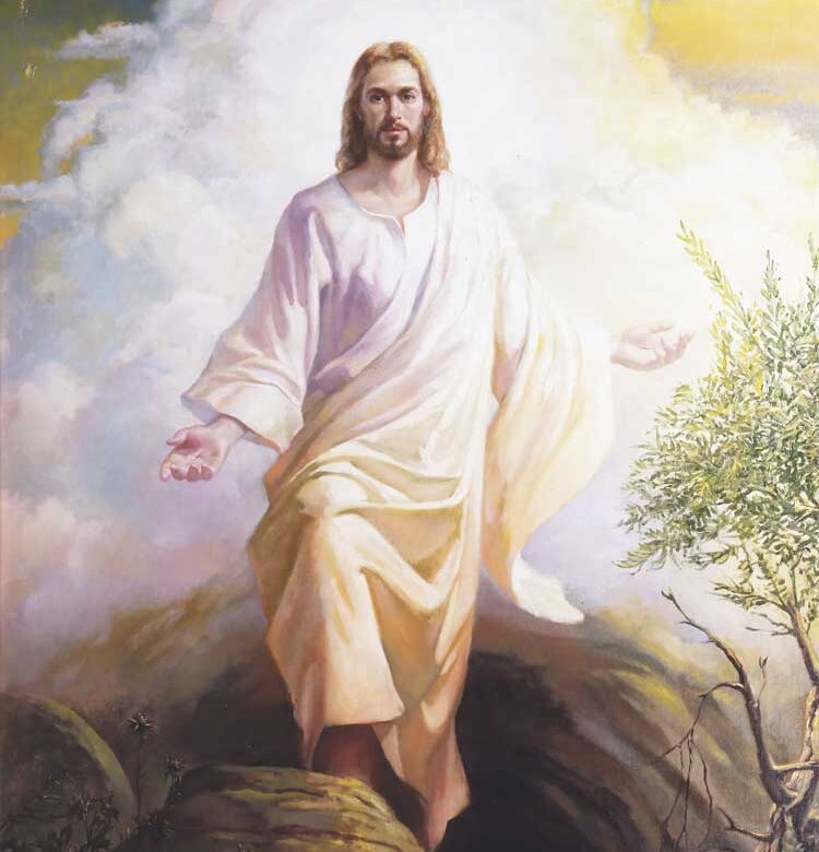 Volvamos a Galilea, empecemos de nuevo