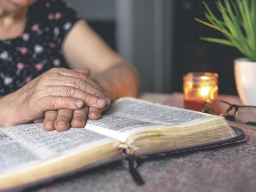 Creer, esperar y amar para llevar una vida en santidad