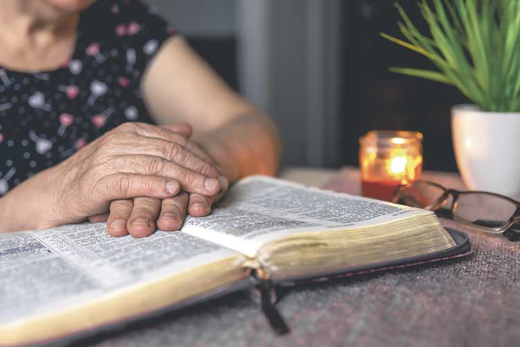 Creer, esperar y amar para llevar una vida en santidad